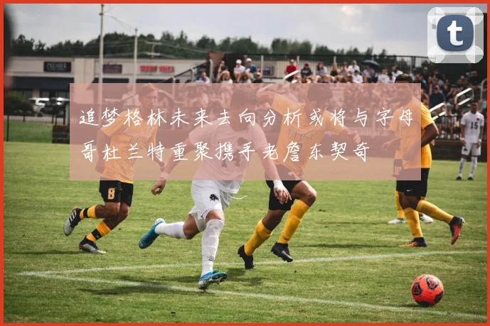 追梦格林未来去向分析或将与字母哥杜兰特重聚携手老詹东契奇