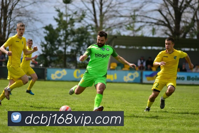 大城百家APP 封面图